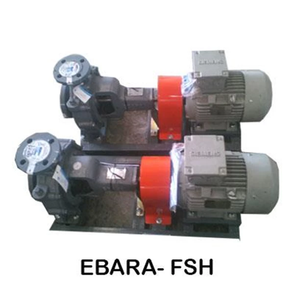 Ebara Centrifugal Pump FSH
