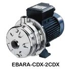 CDX Ebara Well Water Pump 1